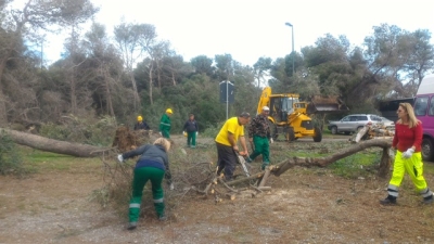 Ferrone (Pd): da lunedì 6 partono i cantieri forestali, vigileremo su condizioni di lavoro per 2415 operai e attività